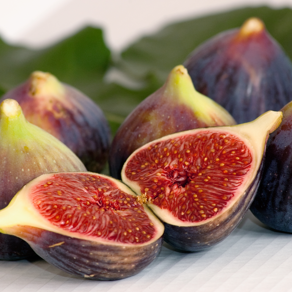 Fig Balsamic Vinegar